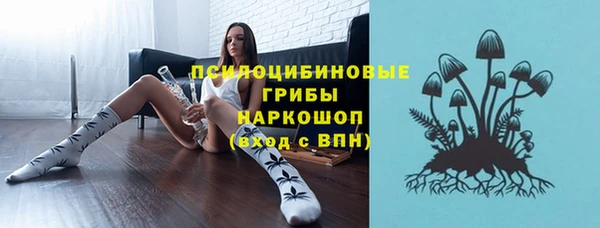 гидра Арсеньев