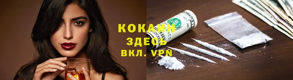 гидра Арсеньев
