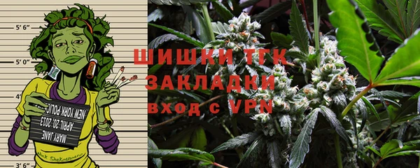 гидра Арсеньев
