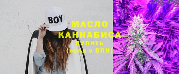 гидра Арсеньев