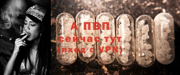 гидра Арсеньев